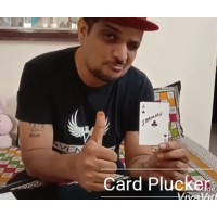 Card Plucker by Sachin.K.M