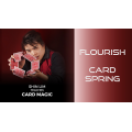 Card Spring Flourish by Shin Lim Card Spring Flourish by Shin Lim