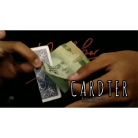 Cardter by Maulana'S Imperio