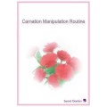 Carnation Manipulation Routine by All-In-One Package Carnation Manipulation Routine by All-In-One Package