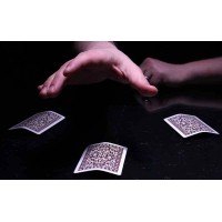Catch 33 Three Card Monte by Lee Asher