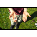 Cerulean by Ben Goodall Cerulean by Ben Goodall