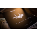 Changeling Odo by Marc Lavelle And Titanas Magic Changeling Odo by Marc Lavelle And Titanas Magic