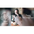 Chargy Mccharge Face by Beau Cremer Chargy Mccharge Face by Beau Cremer