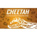 Cheetah by Berman Dabat & Michel & Vernet Cheetah by Berman Dabat & Michel & Vernet