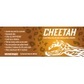 Cheetah by German Dabat & Michel Cheetah by German Dabat & Michel