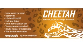 Cheetah by German Dabat & Michel