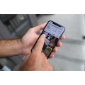 City Reveal by Confabagram Prediction Effect City Reveal by Confabagram Prediction Effect