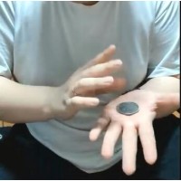 Coin Moves by Zee J. Yan