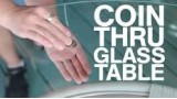 Coin Thru Glass Table by Glenn West