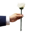 Color Changing Rose by Jl Magic Color Changing Rose by Jl Magic