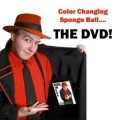 Color Changing Spongeball by Bizzaro Color Changing Spongeball by Bizzaro