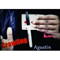 Crawling by Agustin