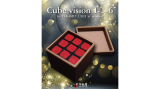 Cube Vision 1-1-6 by Takamiz Usui