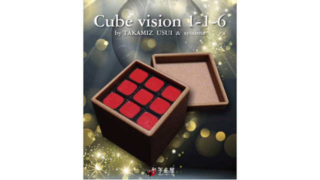 Cube Vision 1-1-6 by Takamiz Usui