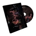 Cupid by Sansminds Creative Lab Cupid by Sansminds Creative Lab