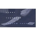 Curry Turnover by Andrew Frost Curry Turnover by Andrew Frost