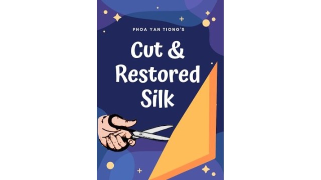 Cut And Restored Silk by Phoa Yan Tiong