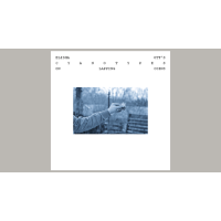 Cyanotypes by Elisha Ott
