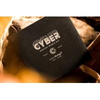 Cyber by Worm and Theory 11