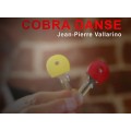 Dance Of The Cobra by Jean Pierre Vallarino Dance Of The Cobra by Jean Pierre Vallarino