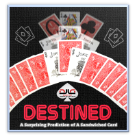 Destined by David Jonathan