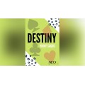 Destiny by Vinny Sagoo Destiny by Vinny Sagoo
