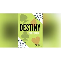 Destiny by Vinny Sagoo