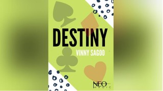 Destiny by Vinny Sagoo