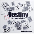 Destiny It's Your Choice by Axel Hecklau Destiny It's Your Choice by Axel Hecklau