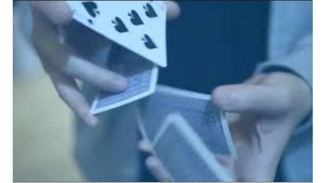 Di.Versity by Di.Cardistry