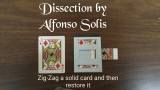 Dissection by Alfonso Solis