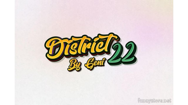 District 22 by Geni