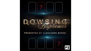 Dowsing Duplicates by T.J. Osbourne