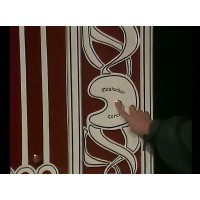 Ein Abend Im Magischen Cercle: Episode 1 by Orf