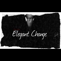 Elegant Change by Dan Alex