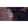 Evanescent by Rooster & 1914 Evanescent by Rooster & 1914