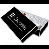 Exquisite by Michael Ammar And Losander
