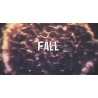 Fall ( Hopping Holes 2.0 ) by Jay Grill