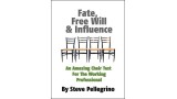 Fate, Free Will And Influence: Chair Test by Steve Pellegrino