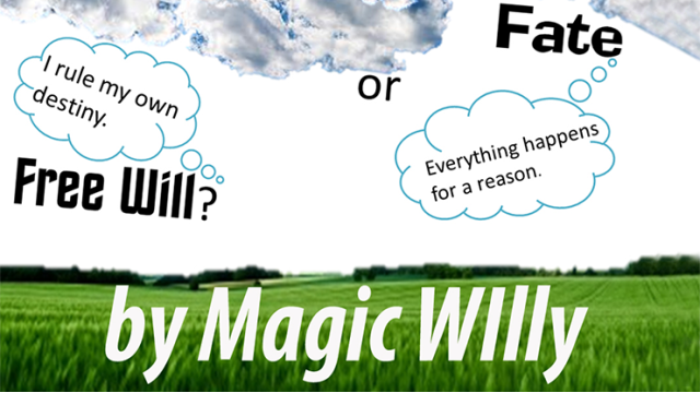 Fate Or Free Will by Magic Willy