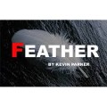 Feather by Kevin Parker Feather by Kevin Parker