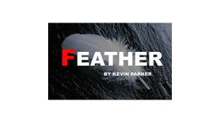 Feather by Kevin Parker