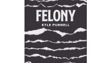 Felony by Kyle Purnell