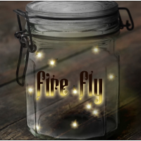 Fire Fly by Rick Holcombe