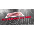 Flap Cards by Alexis De La Fuente Flap Cards by Alexis De La Fuente