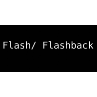Flash And Flashback by Andrew Frost