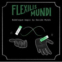 Flexilis Mundi by Davide Mundi