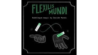 Flexilis Mundi by Davide Mundi