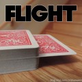 Flight by Adam Kaufman Flight by Adam Kaufman